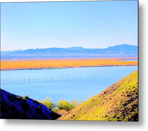 Southwest Metal Print featuring the digital art Southwest by Lessandra Grimley