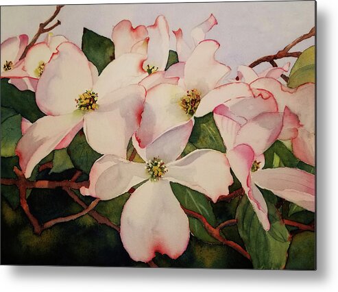 Dogwood Metal Print featuring the painting Springtime Dogwood by Judy Mercer