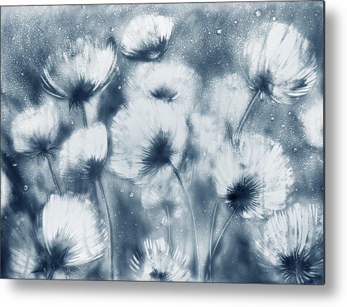 Flowers Metal Print featuring the drawing Summer Snow by Elena Vedernikova
