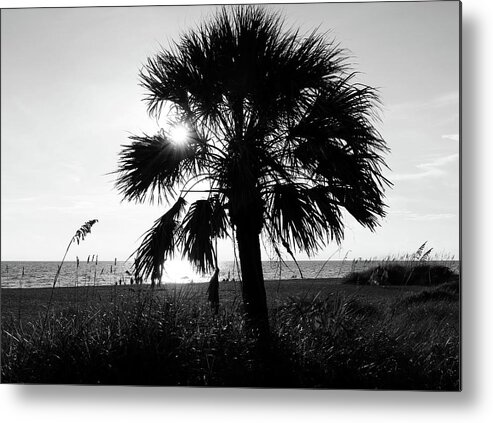 Photo For Sale Metal Print featuring the photograph Sun Through the Palm by Robert Wilder Jr