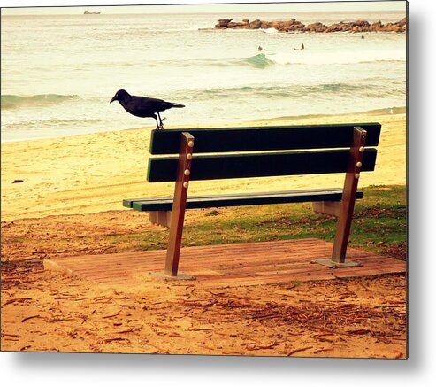 Viva Metal Print featuring the photograph The Bench and The Blackbird by VIVA Anderson