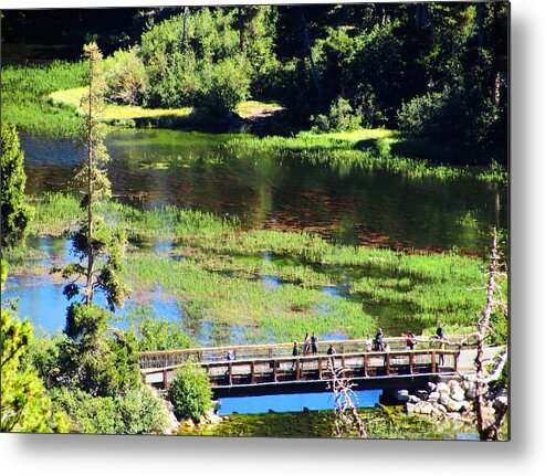 Nature Metal Print featuring the photograph The Crossing by Marilyn Diaz
