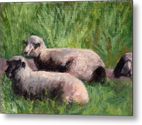 Animals Metal Print featuring the painting The Sheep are Resting by Chris Neil Smith
