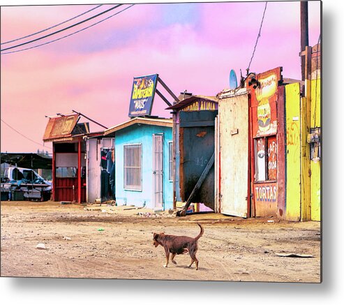 Mexico Metal Print featuring the photograph Tortas by Dominic Piperata