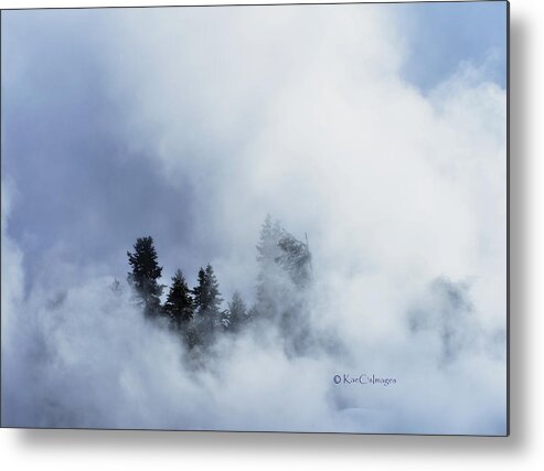 Firehole River Metal Print featuring the photograph Trees through Firehole River Mist by Kae Cheatham