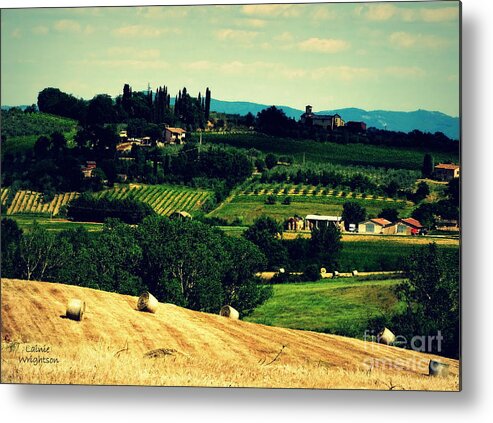 Tuscany Metal Print featuring the photograph Tuscan Country by Lainie Wrightson