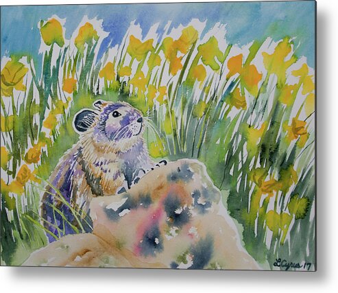Pika Metal Print featuring the painting Watercolor - Curious Pika by Cascade Colors