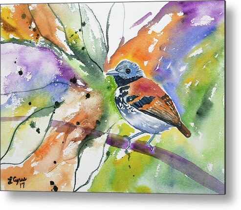 Spotted Antbird Metal Print featuring the painting Watercolor - Spotted Antbird by Cascade Colors