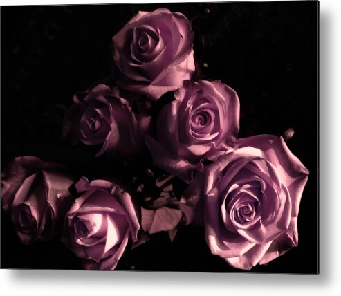 Roses Metal Print featuring the photograph Wedding Roses by Sandra Selle Rodriguez