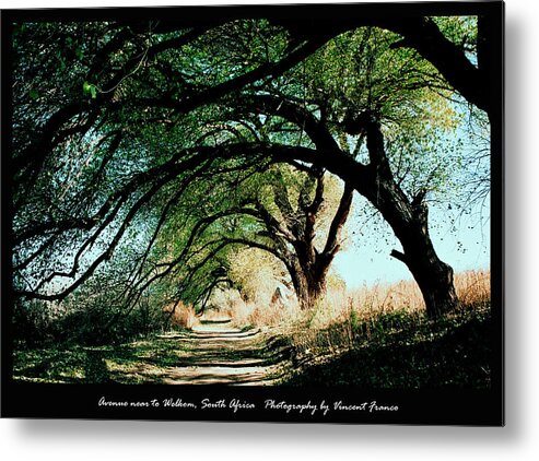 Avenue Metal Print featuring the digital art Welkom. Come home with me by Vincent Franco