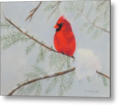 Bird Metal Print featuring the pastel Winter Cardinal by Carol Corliss