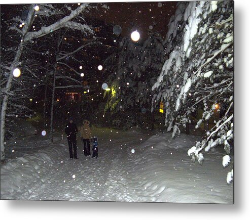 Winter Metal Print featuring the photograph Winter scene 7 by Sami Tiainen