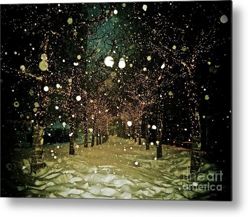 Trees Metal Print featuring the photograph Winter Wonderland - New York by Debra Banks