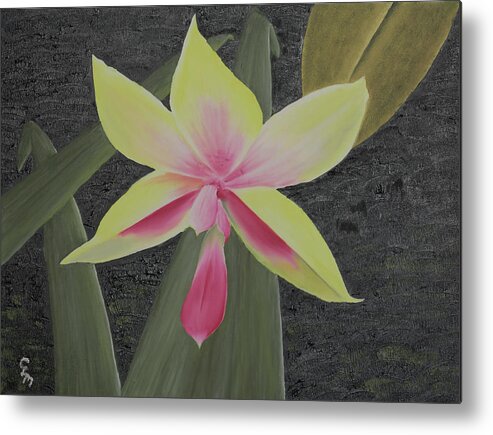 Fine Art Metal Print featuring the painting Yellow Orchid by Stephen Daddona