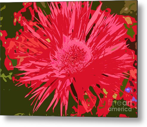 Zinnia Metal Print featuring the photograph Zinnia Party by Jeanette French