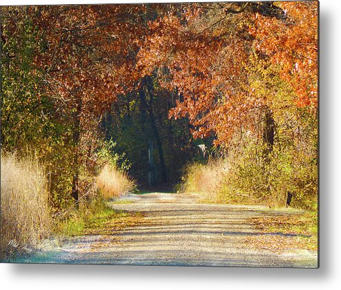 Autumn Metal Print featuring the photograph Secrets #1 by Wild Thing