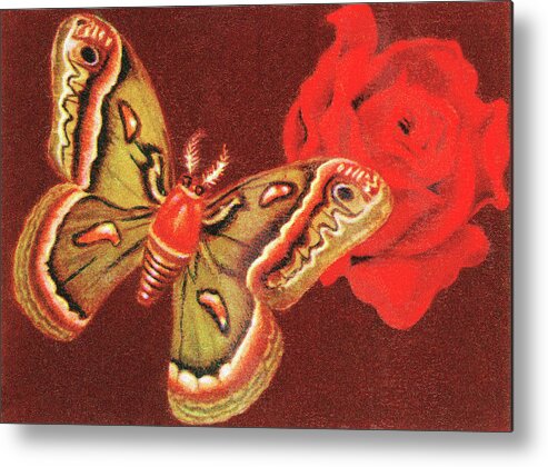 Animal Metal Print featuring the drawing Butterfly #9 by CSA Images