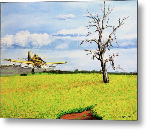 Aircraft Metal Print featuring the painting Air Tractor Spraying Canola Fields by Karl Wagner