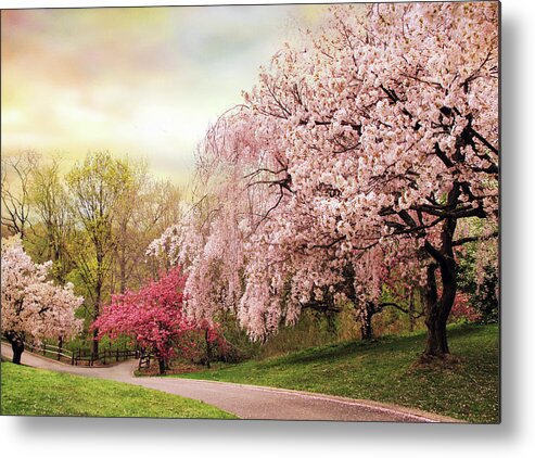 Nature Metal Print featuring the photograph Asian Cherry Grove by Jessica Jenney