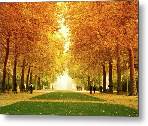 Orange Color Metal Print featuring the photograph Autumn Park In Brussels - Walking People by Franckreporter
