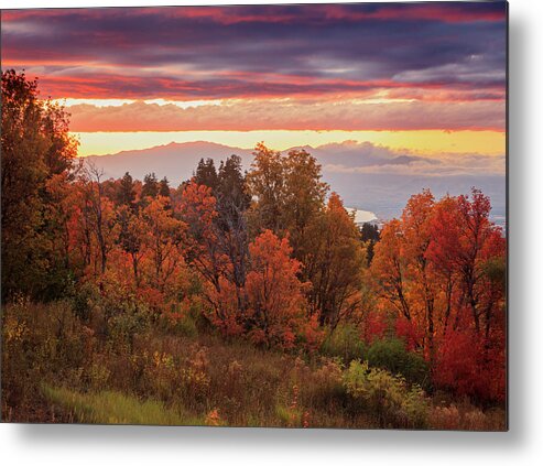 Usa Metal Print featuring the photograph Autumn Splendor in the Wasatch Front by Wasatch Light