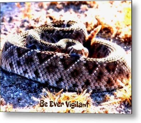Adage Metal Print featuring the photograph Be Ever Vigilant 2 by Judy Kennedy