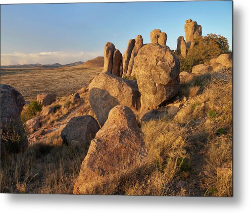 00559657 Metal Print featuring the photograph City Of Rocks State Park, New Mexico by Tim Fitzharris
