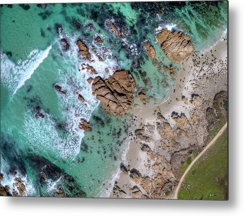 Above Metal Print featuring the photograph Coastal Clarity by David Levy