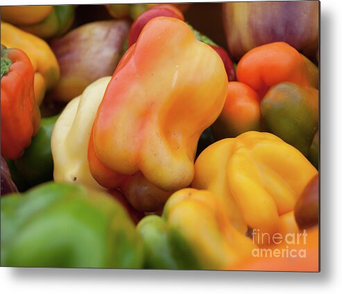 Green Metal Print featuring the photograph Colorful Bell peppers by Christy Garavetto