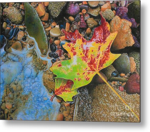 Leaves Metal Print featuring the drawing Current Resident by Pamela Clements