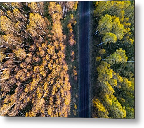 Colorado Metal Print featuring the photograph Divide by Mei Xu