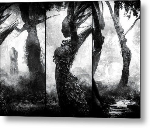 Triptych Metal Print featuring the photograph Forest - The Other Side - by Holger Droste