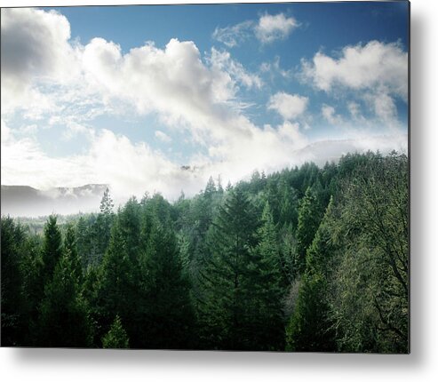 Scenics Metal Print featuring the photograph Fresh Green Forest And Sky by Ryanjlane