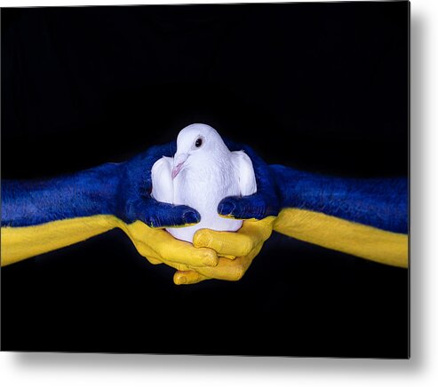 Dove Metal Print featuring the photograph Hold The Peace by Michael Allmaier