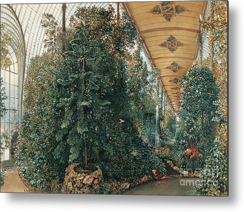Palace Metal Print featuring the drawing Interior Of The Palm House Of Lednice by Heritage Images
