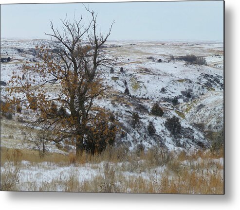 North Dakota Metal Print featuring the photograph January in the Badlands by Cris Fulton