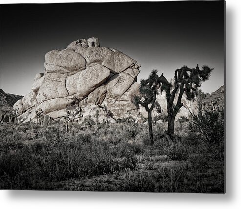  Metal Print featuring the photograph Joshua Tree Np by Jay Marik