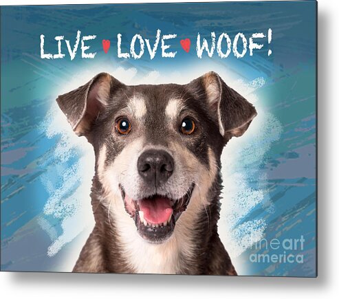 Dog Metal Print featuring the digital art Live Love Woof by Evie Cook