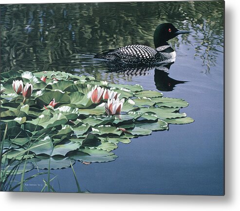 A Loon Swimming Near The Lily Pads Metal Print featuring the painting Loon And Lilies by Ron Parker