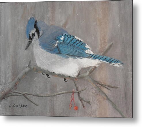 Bluejay Metal Print featuring the pastel Out of Reach by Carol Corliss