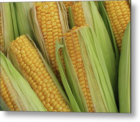 Ranch Metal Print featuring the photograph Pile Of Corn On Cob With Top Cut Off by Ssuni