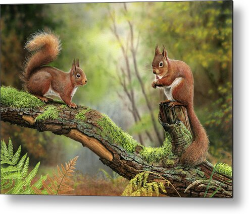 Red Squirrels 8053 Metal Print featuring the painting Red Squirrels 8053 by Nigel Artingstall