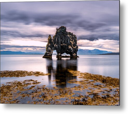Iceland Metal Print featuring the photograph Rhino In Iceland by Ariel Ling