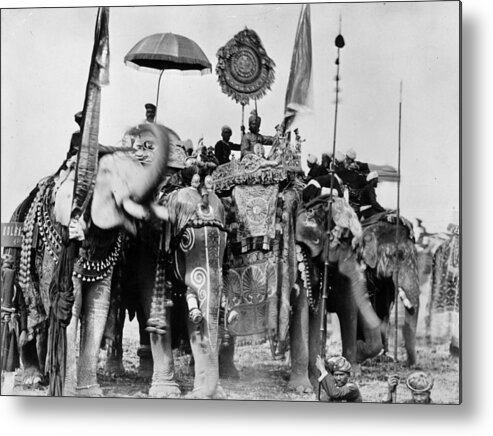 Working Animal Metal Print featuring the photograph Royal Elephants by Hulton Archive