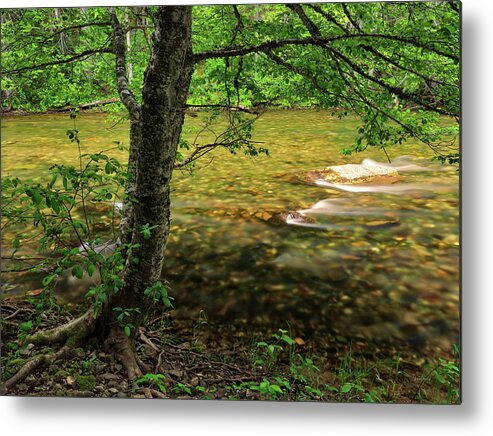 Nature Metal Print featuring the photograph Shadowy St. Joe River by Leland D Howard
