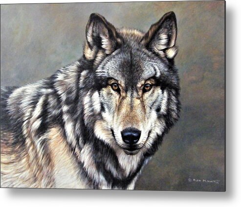 Paintings Metal Print featuring the painting Timber Wolf by Alan M Hunt by Alan M Hunt