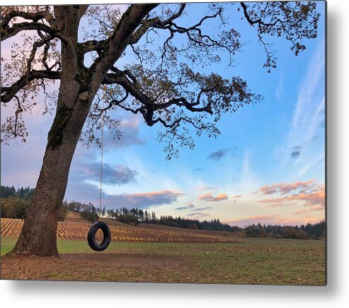 Tree Metal Print featuring the photograph Tire Swing Tree by Brian Eberly