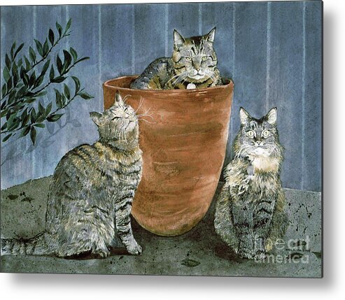 Three Neighbors Cats Gather On Our Front Porch. Metal Print featuring the painting Tres Gatos by Monte Toon