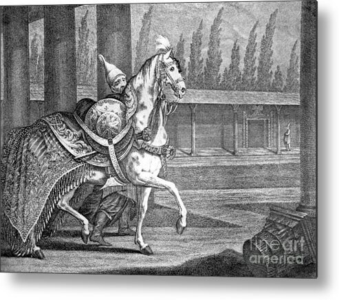 Horse Metal Print featuring the drawing Turkish Sultans Arabian Horse, 1722 by Print Collector