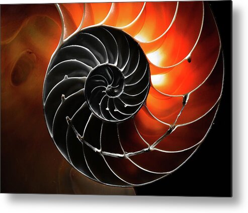 Closeup Metal Print featuring the photograph Twirl by Jim Painter